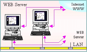 WEB Server